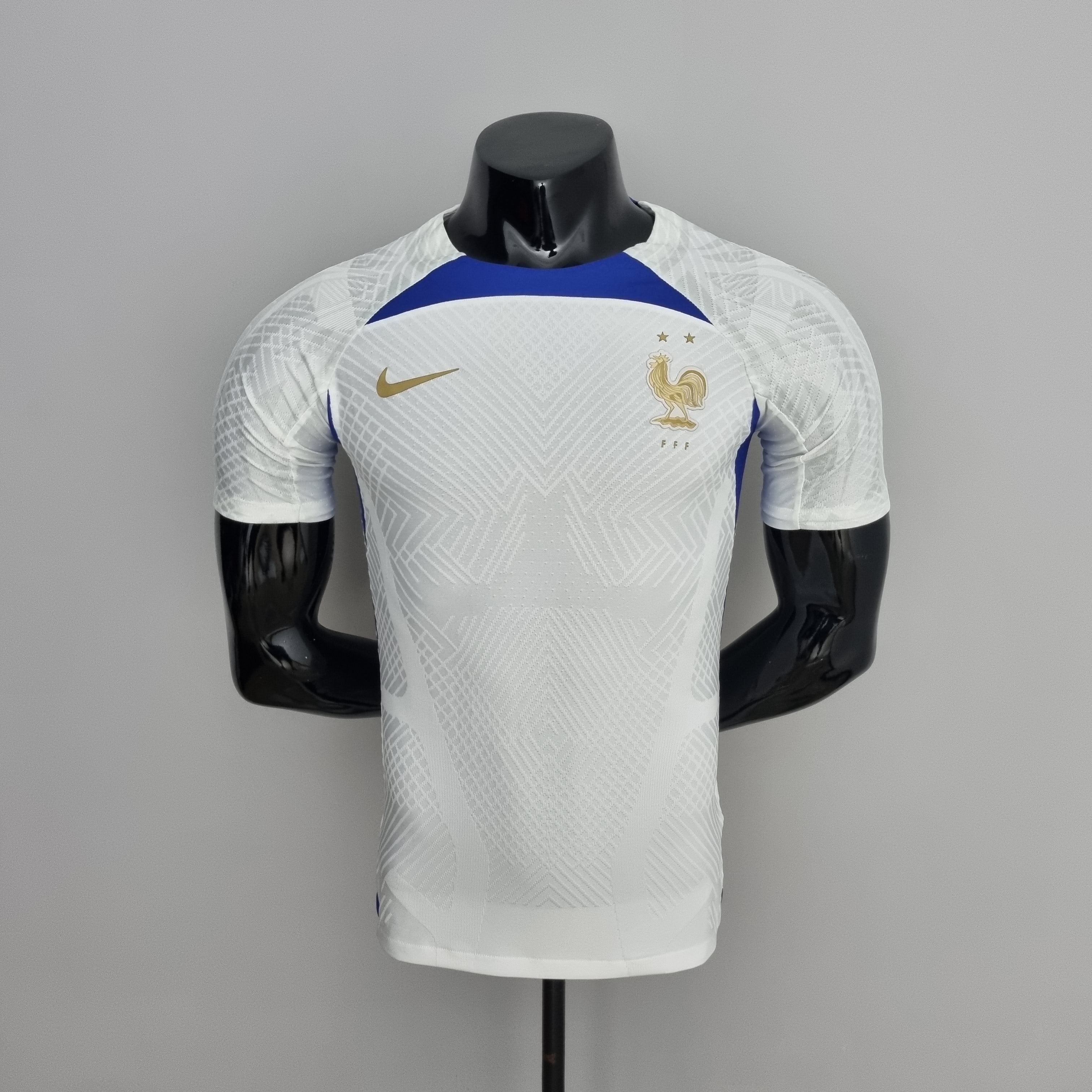 France Maillot D'Entraînement Version Joueur Blanc 2022